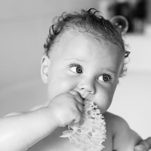 baby and child photographer