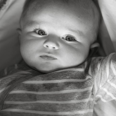 baby portrait London