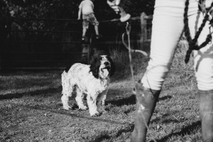 equestrian and portrait photographer Surrey