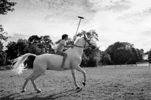 equine and portrait photographer , Sussex