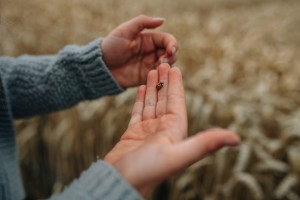 Natural family photography, long grass