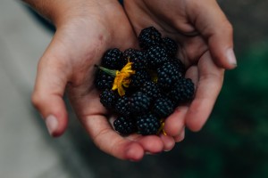 Natural family photography, British holiday