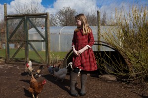 Family portrait photographer