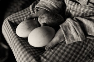 family photographer London