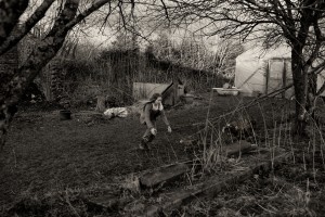 children's photographer London