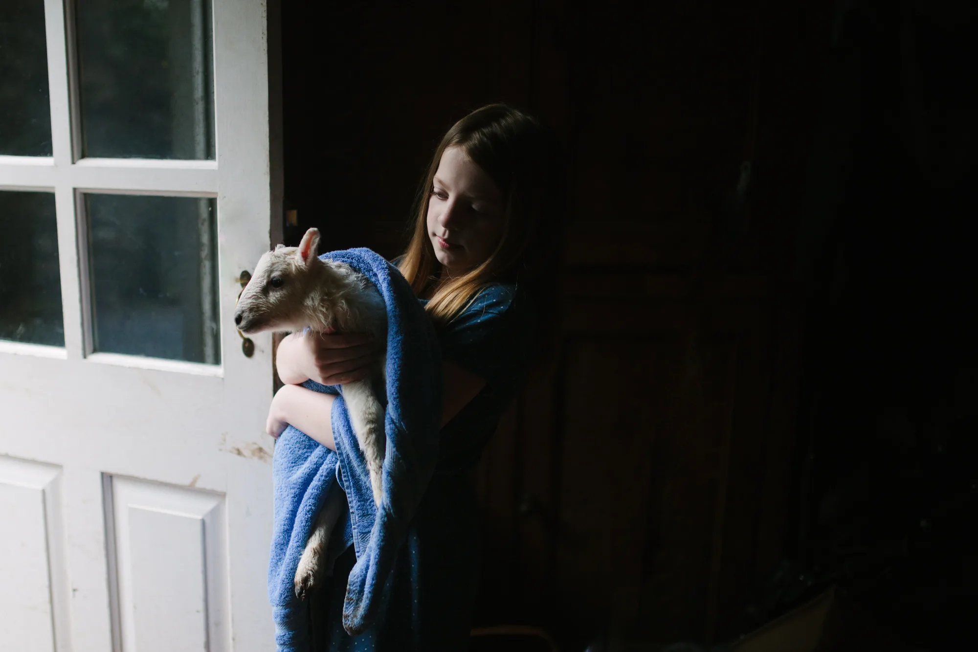 family portrait photographer