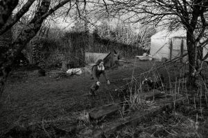 family portrait photographer