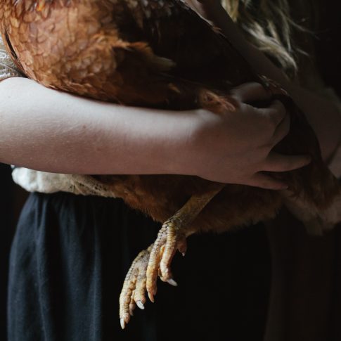 Lifestyle family photographer London