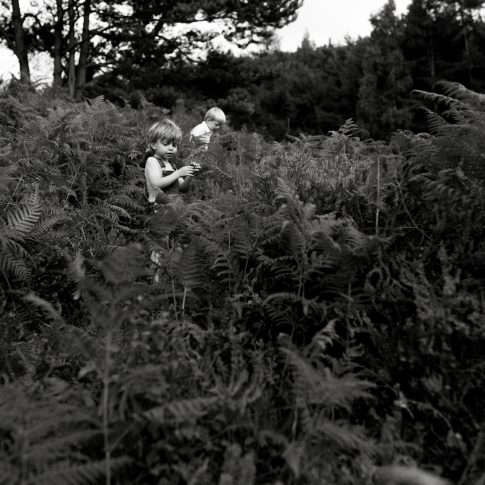 Surrey family photographer