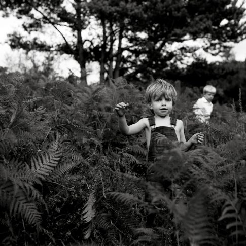 Surrey family photographer