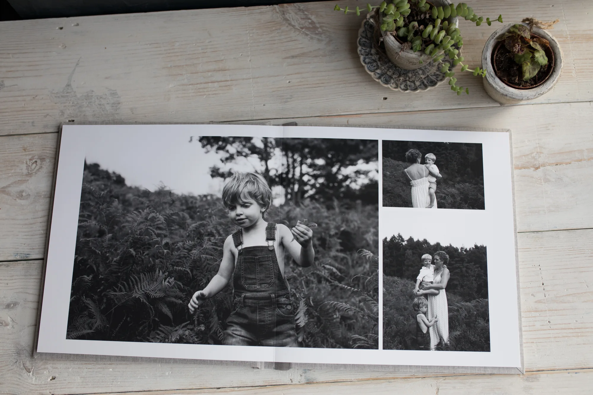 Cocoa Jones Photography