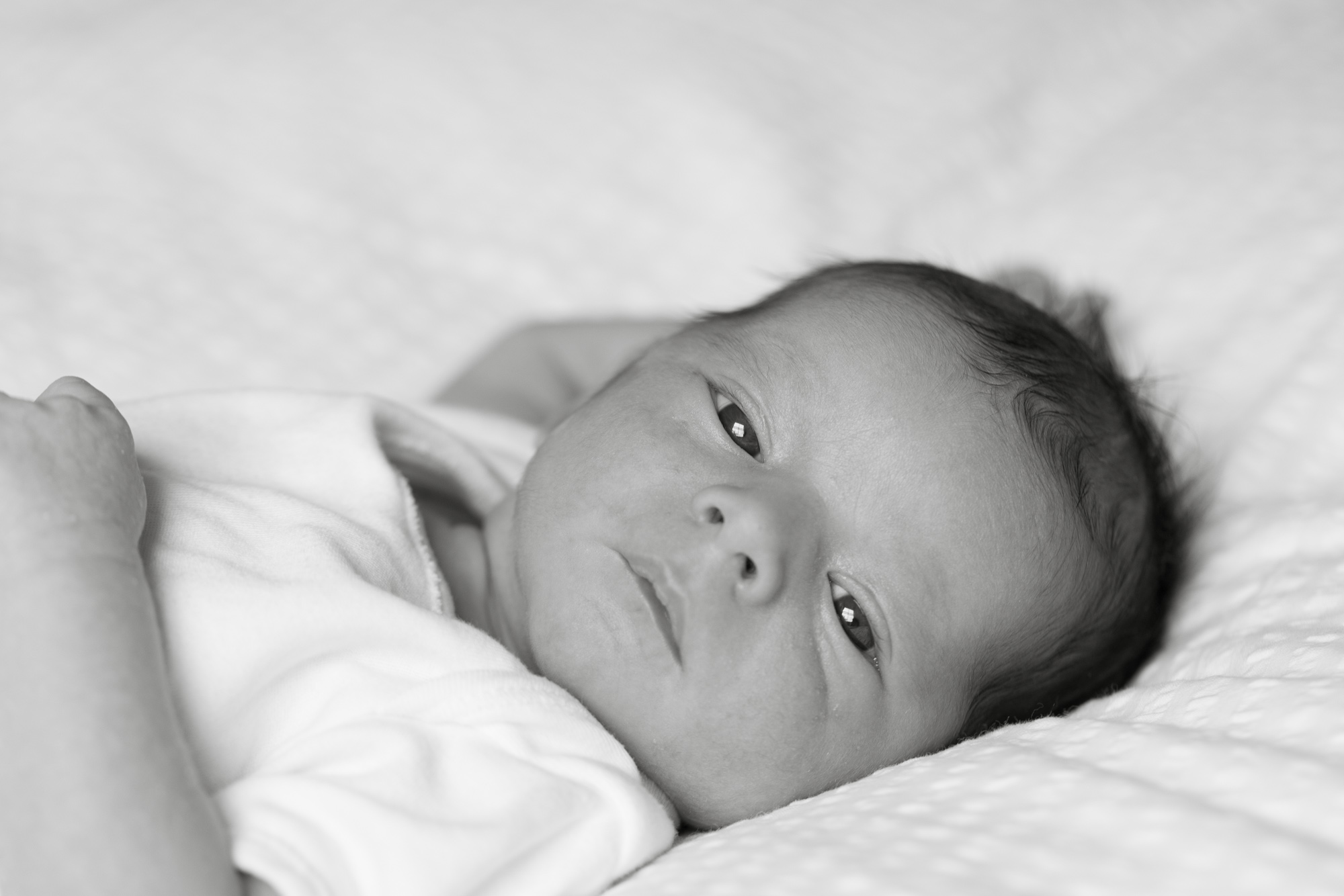 Newborn portrait photography London