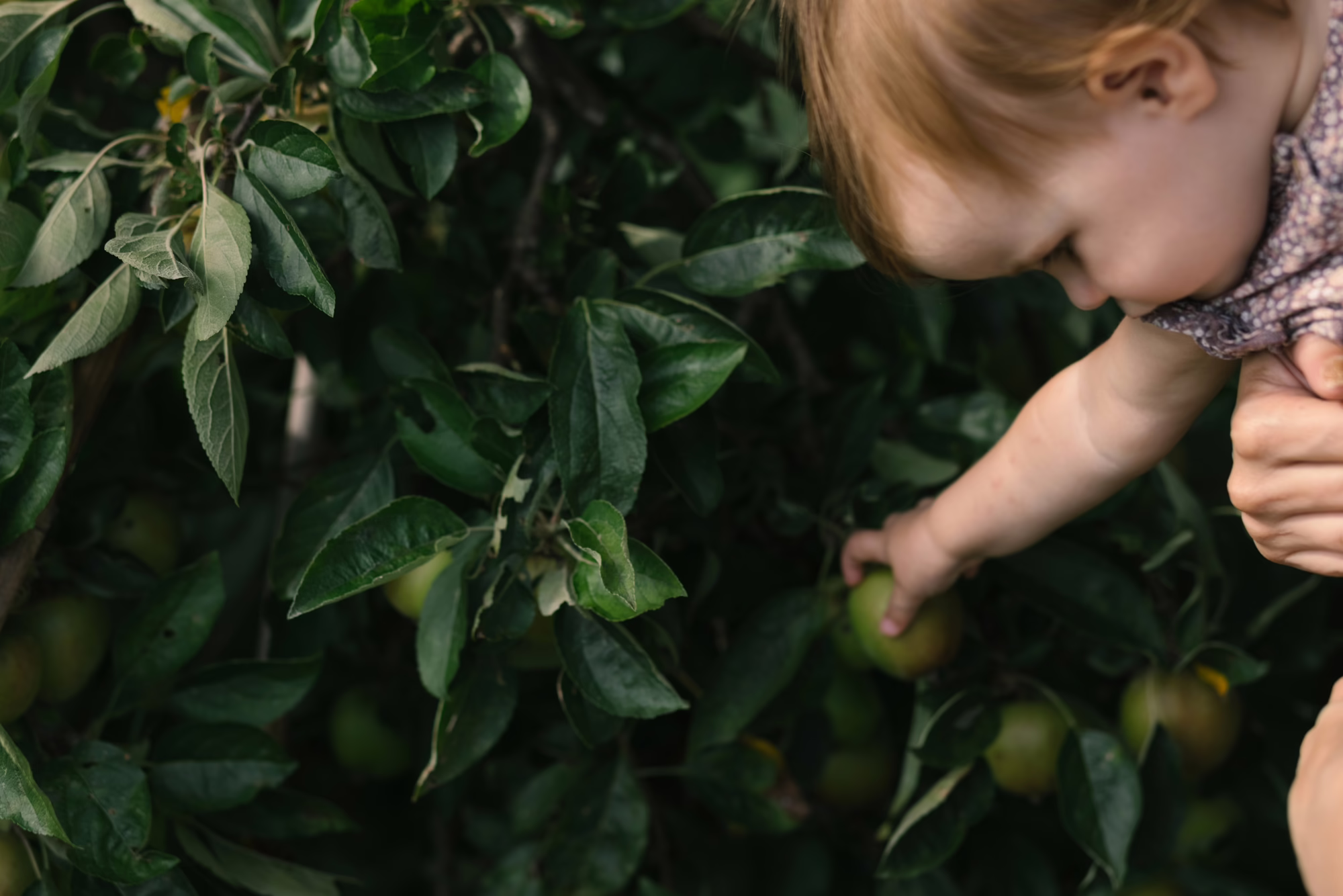 London Family and child portrait photography, Dulwich